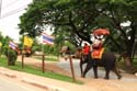 thai_07-07-03_370